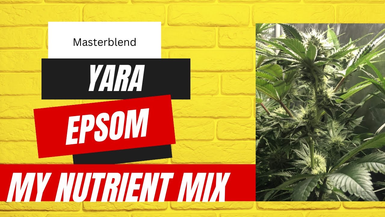 Masterblend 0-12-24 Cannabis Bloom Formula. My Flower Nutrients Cannabis RDWC DWC.