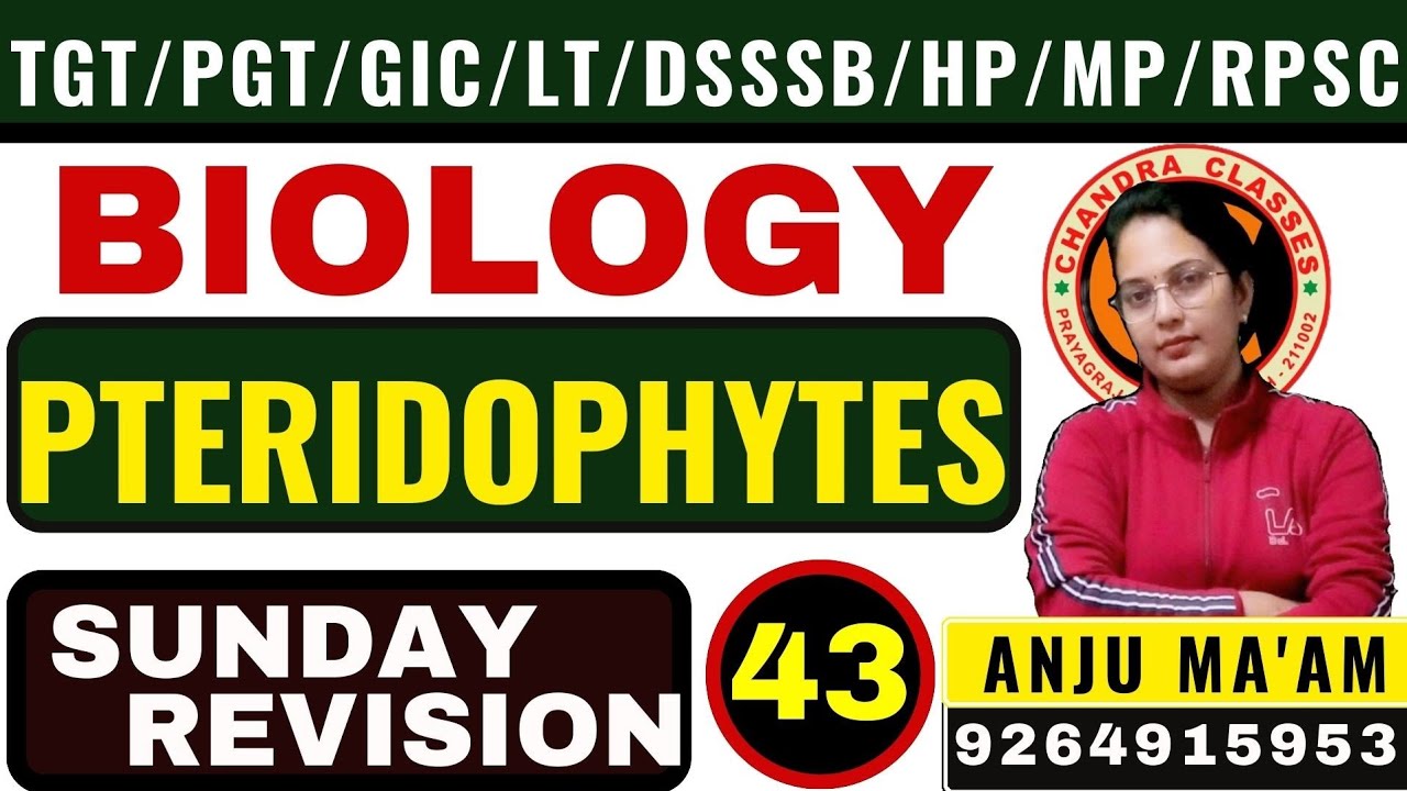 SUNDAY REVISION 43 || PTERIDOPHYTES ||TGT II PGTII LT II GIC II  BY ANJU MAM