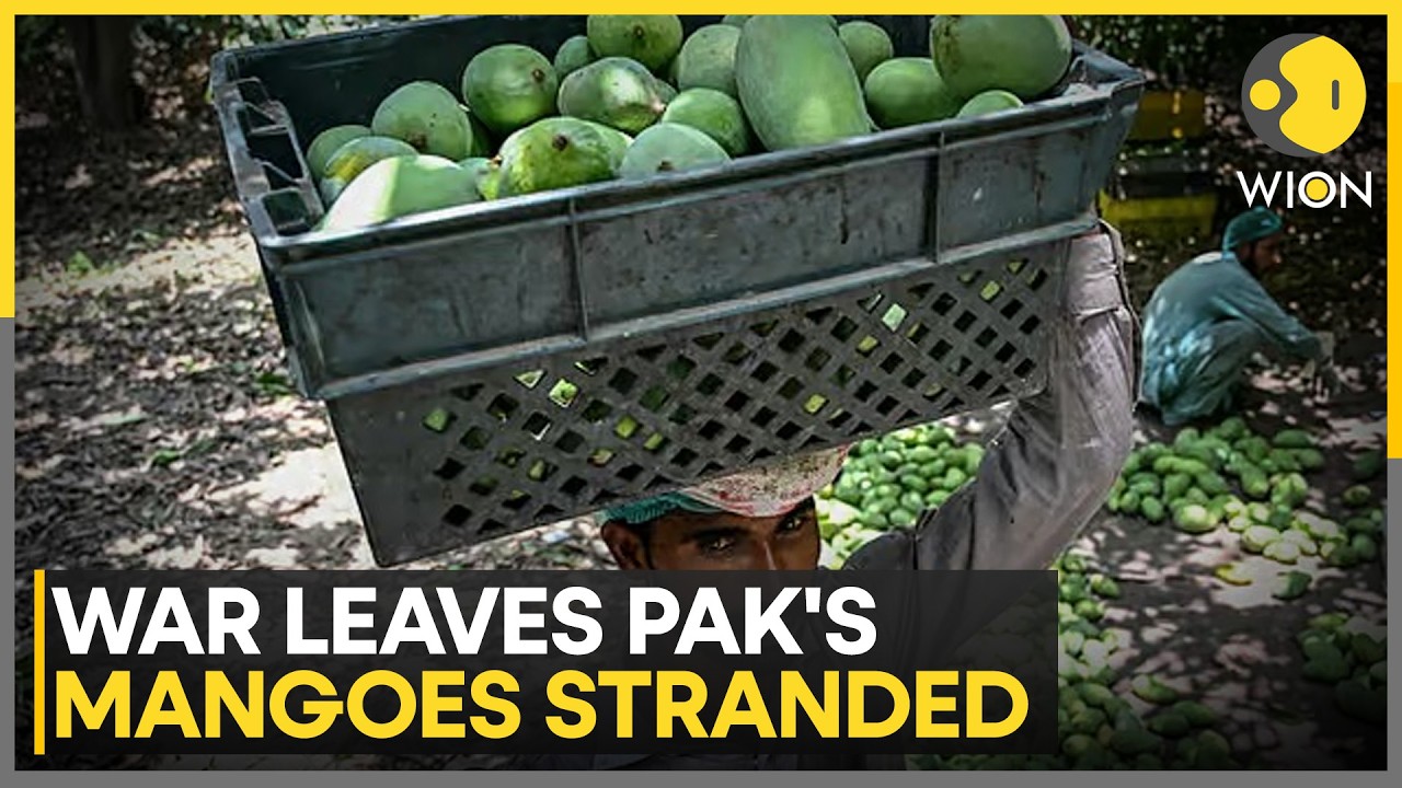 Bread Or Mangoes? Pakistan's Demand Dilemma | WION