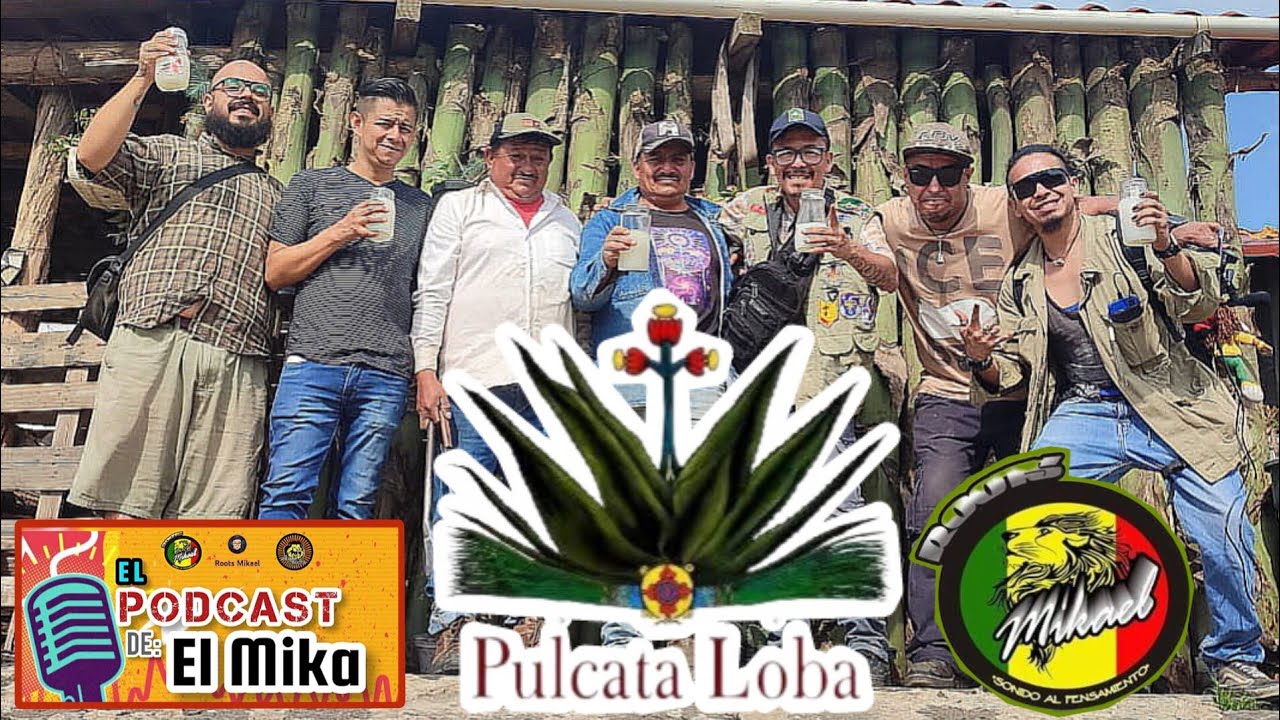 -De Scouting - *Pulcata La Loba* 