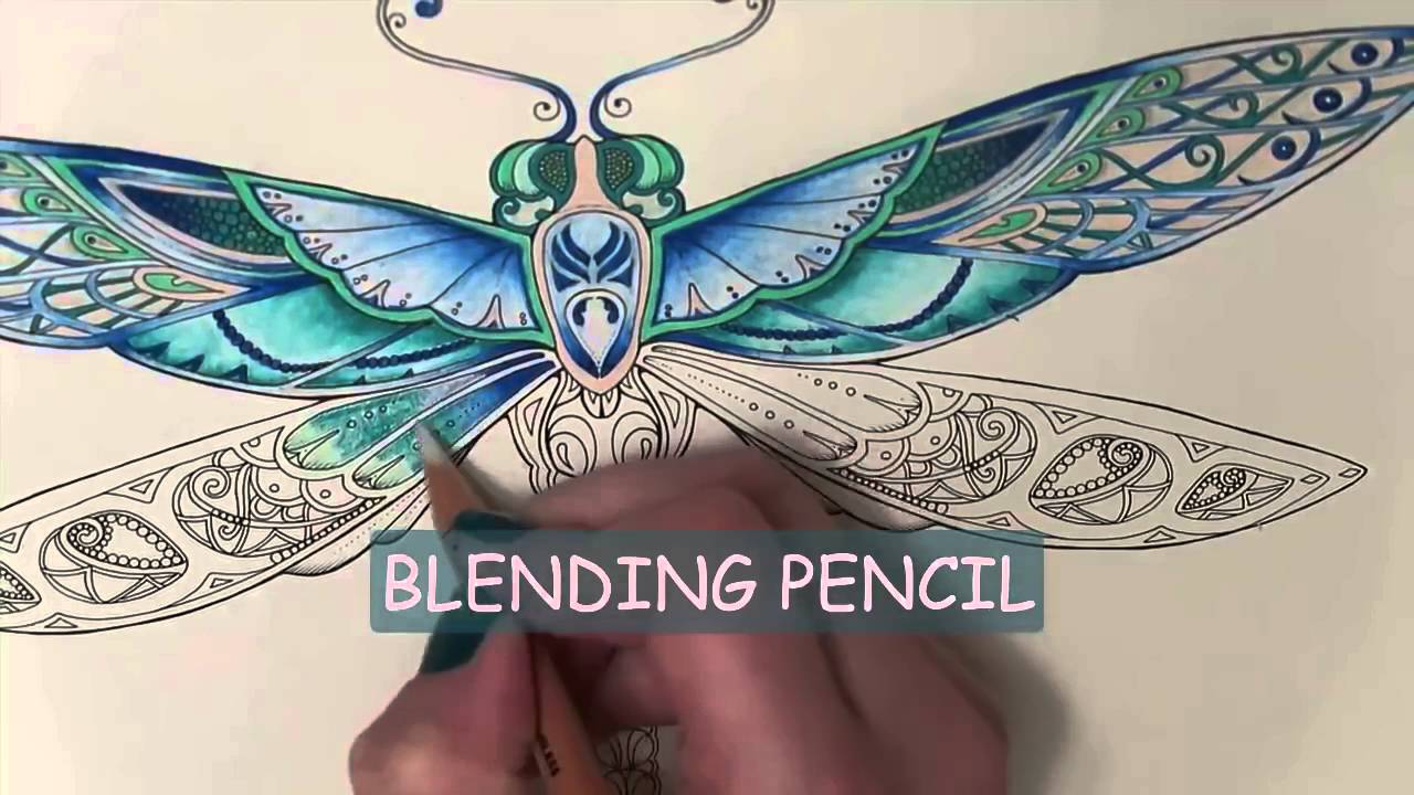 Enchanted Forest Coloring Book | The Dragonfly | with color names