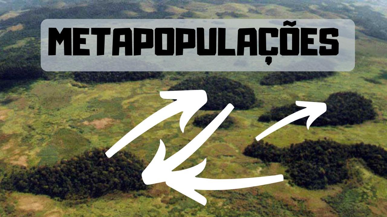 Ecologia: METAPOPULAÇÕES! Conceito, dinâmica e aplicações