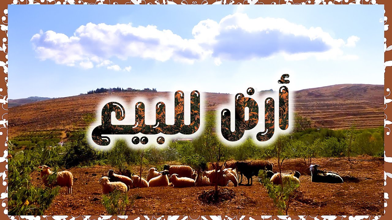 أرض للبيع ٣.٥ دونم في الزبداني – إطلالات خلابة وقريبة من دمشق | فرصة استثمارية مميزة