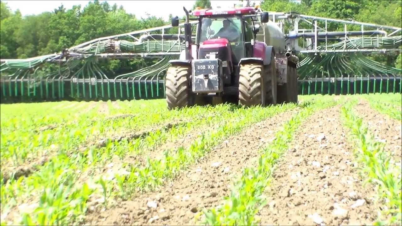 Case IH Puma 225 bringt Gülle im Mais aus