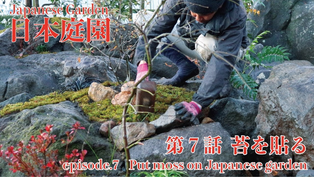 (Pro.1 - Ep. 7) 〜Making a Japanese Garden. Put moss on Japanese garden〜 苔貼り【日本庭園】