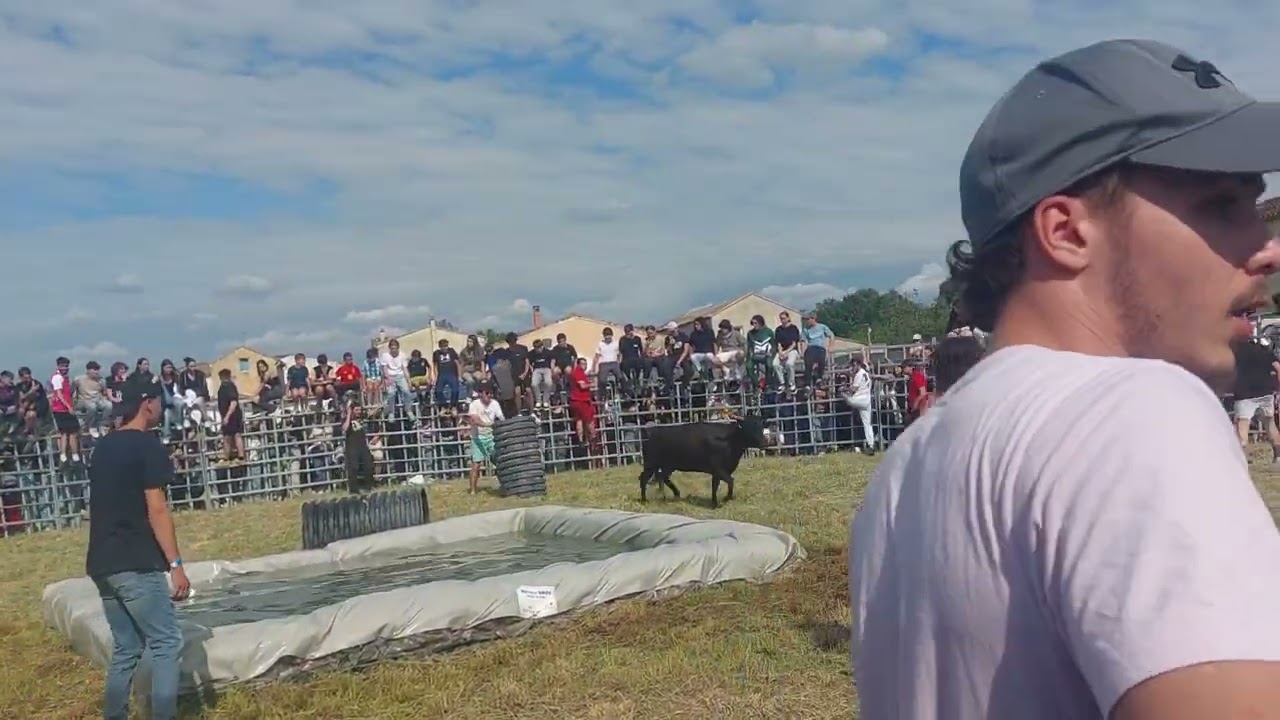 8 Mai 2025 Toro Piscine Manade Des Chardons À Codolet 3