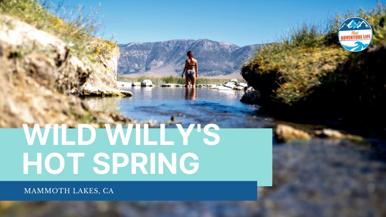 Горячий источник Wild Willy's: лучший природный горячий источник рядом с Маммот-Лейкс