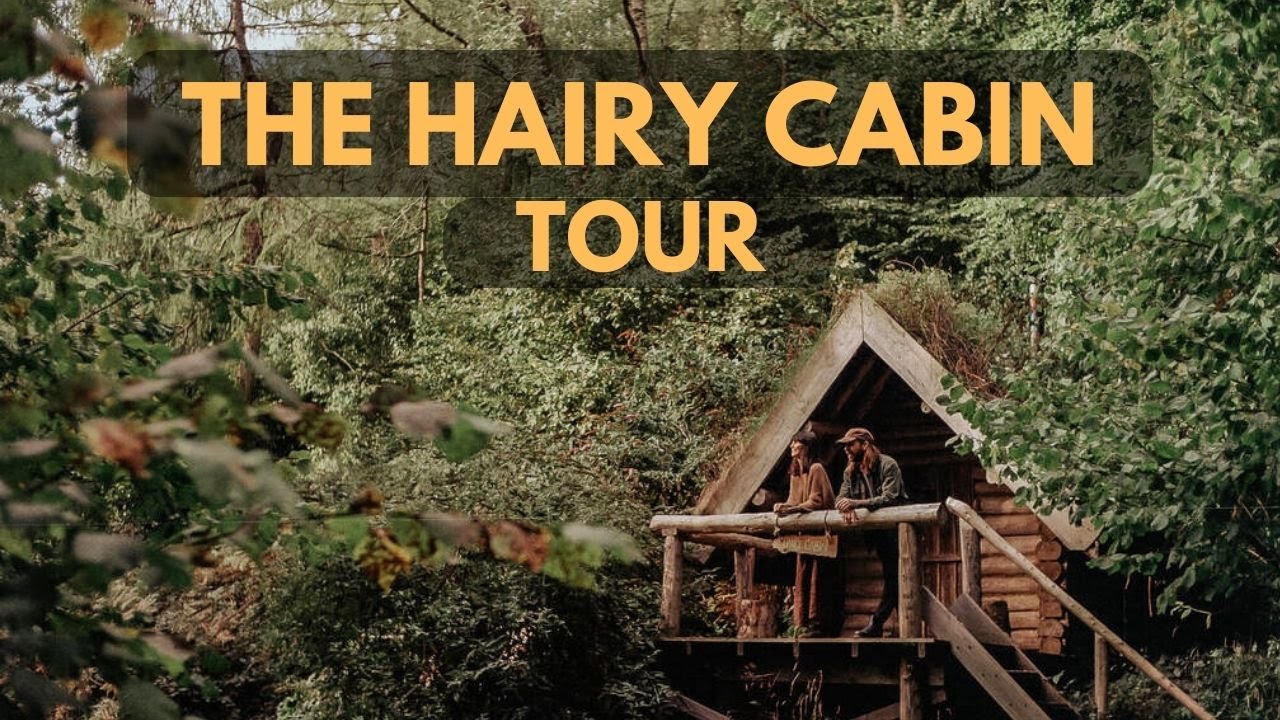 The Hairy Cabin: Off-Grid Log Cabin in Woodland Retreat