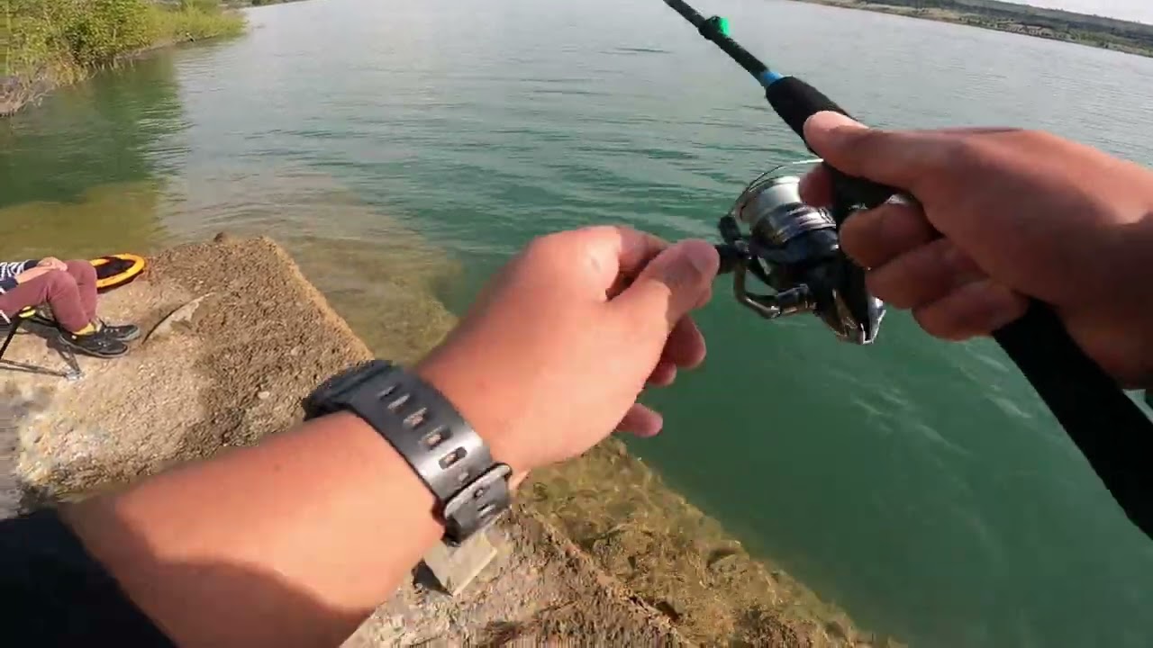 თევზაობა #თევზაობა #fishing #თევზი #tevzaoba #fish #spiningfishing