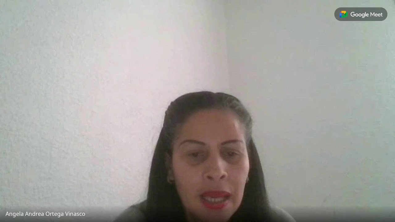 QUE ES LO QUE ESTAS VIENDO PASTORA ANGELA ORTEGA ESPAÑA