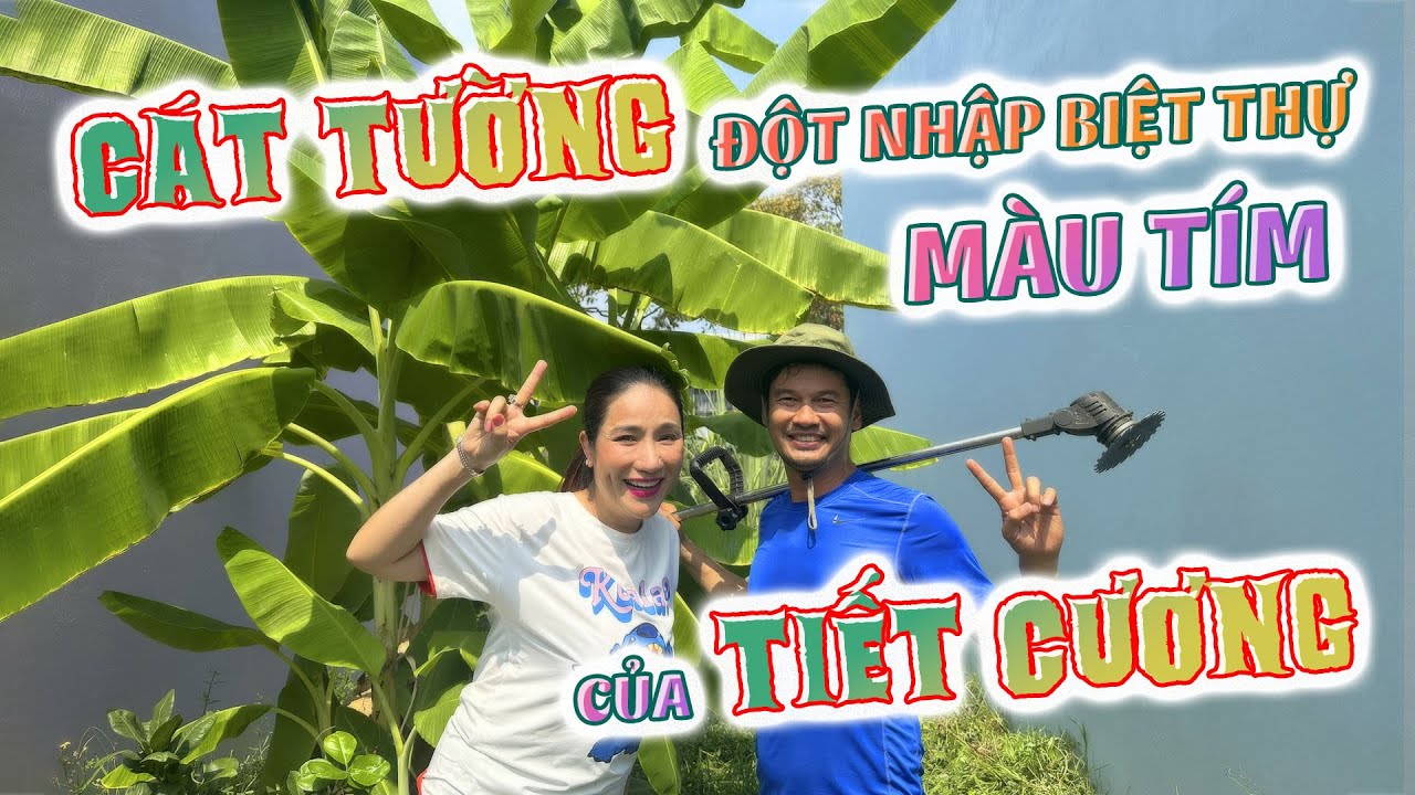 CÁT TƯỜNG đột nhập BIỆT THỰ MÀU TÍM củaTIẾT CƯƠNG