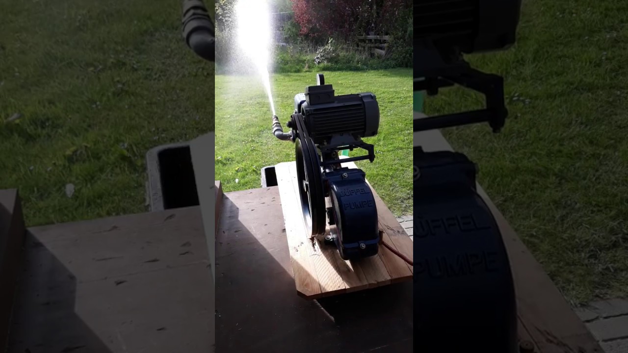 SPECK Büffelpumpe BS 50 mit Motor -- komplett revidiert