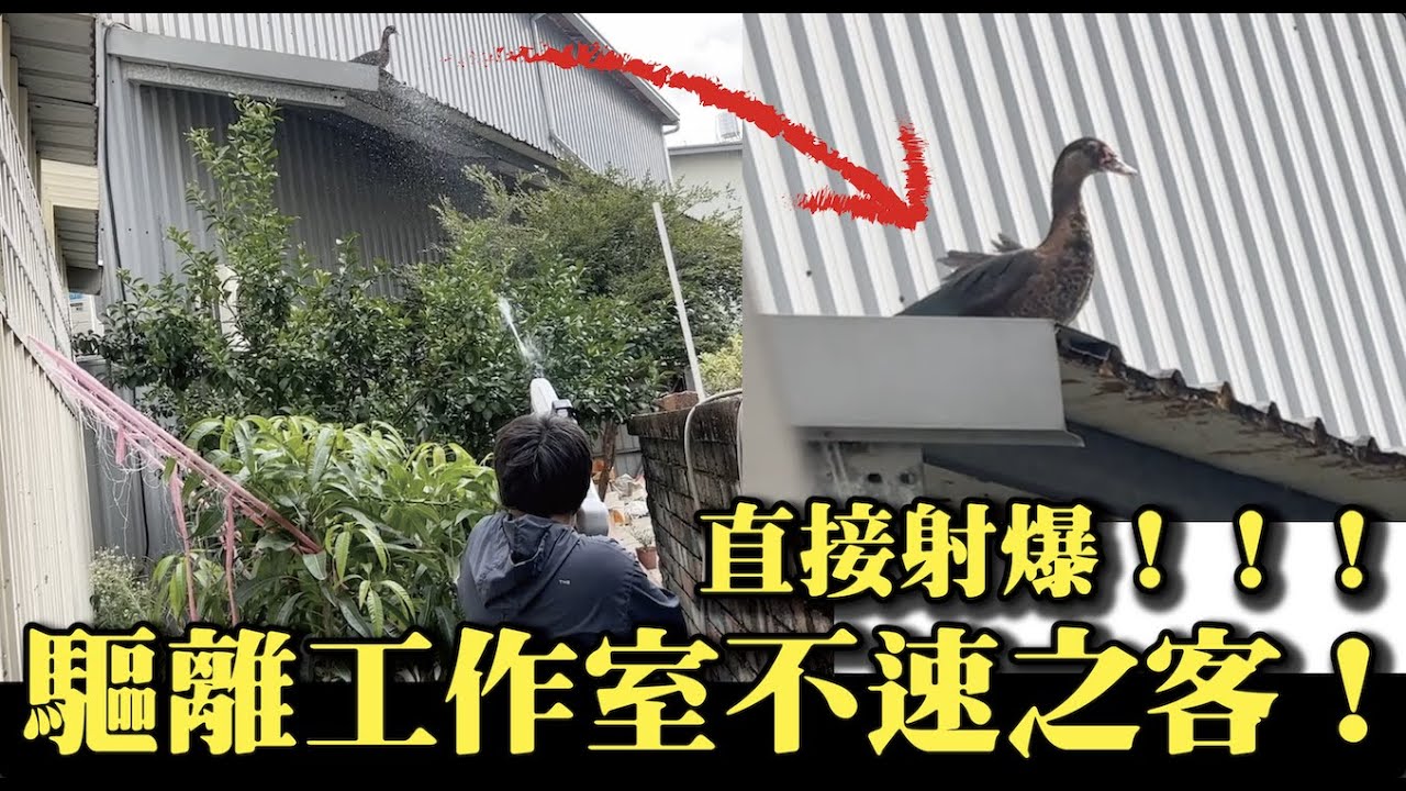 【武力驅趕工作室不速之客！】私下跟妹子們偷開車！還買了色色的玩具？