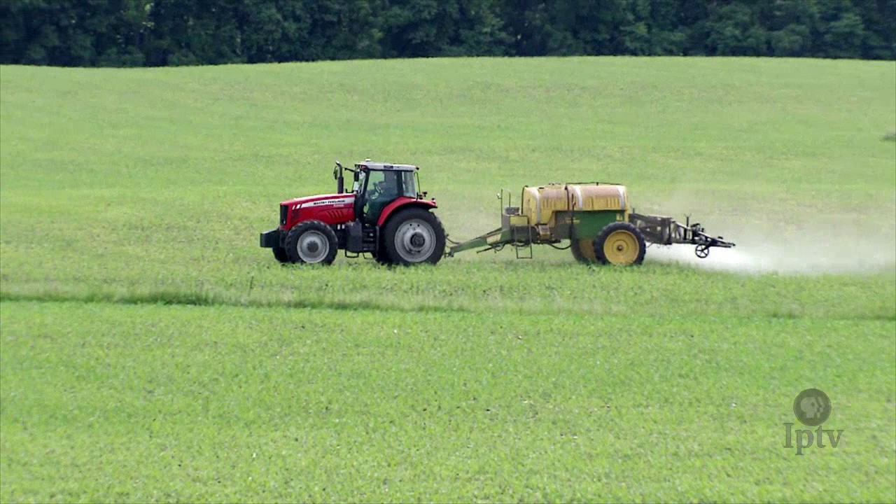 GMO Debate Rages Again