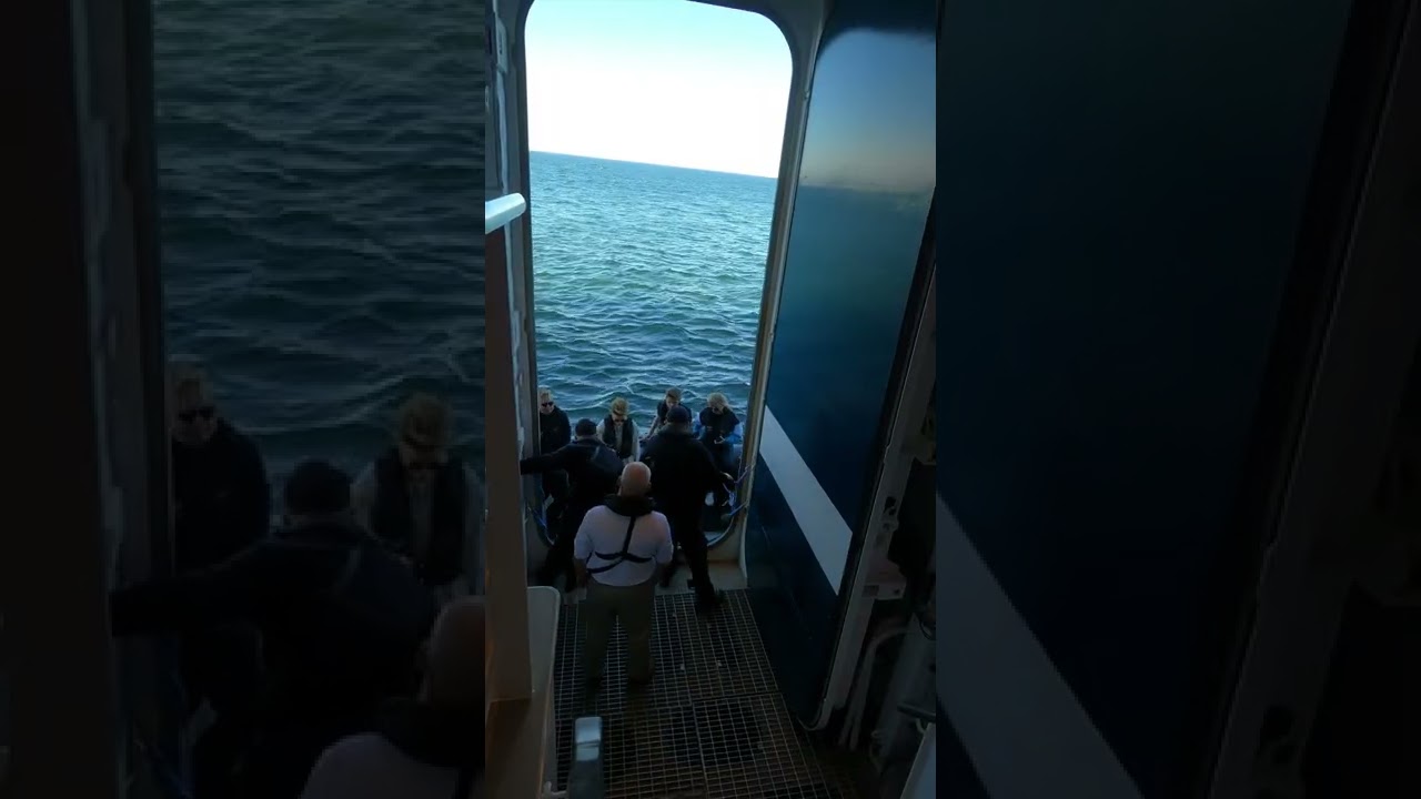 Zodiac Excursion - SH Vega | Swan Hellenic's NEW ship