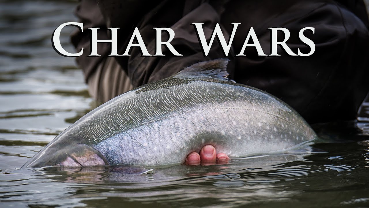 Alaska Char Wars | Arctic Char of the Iliamna River