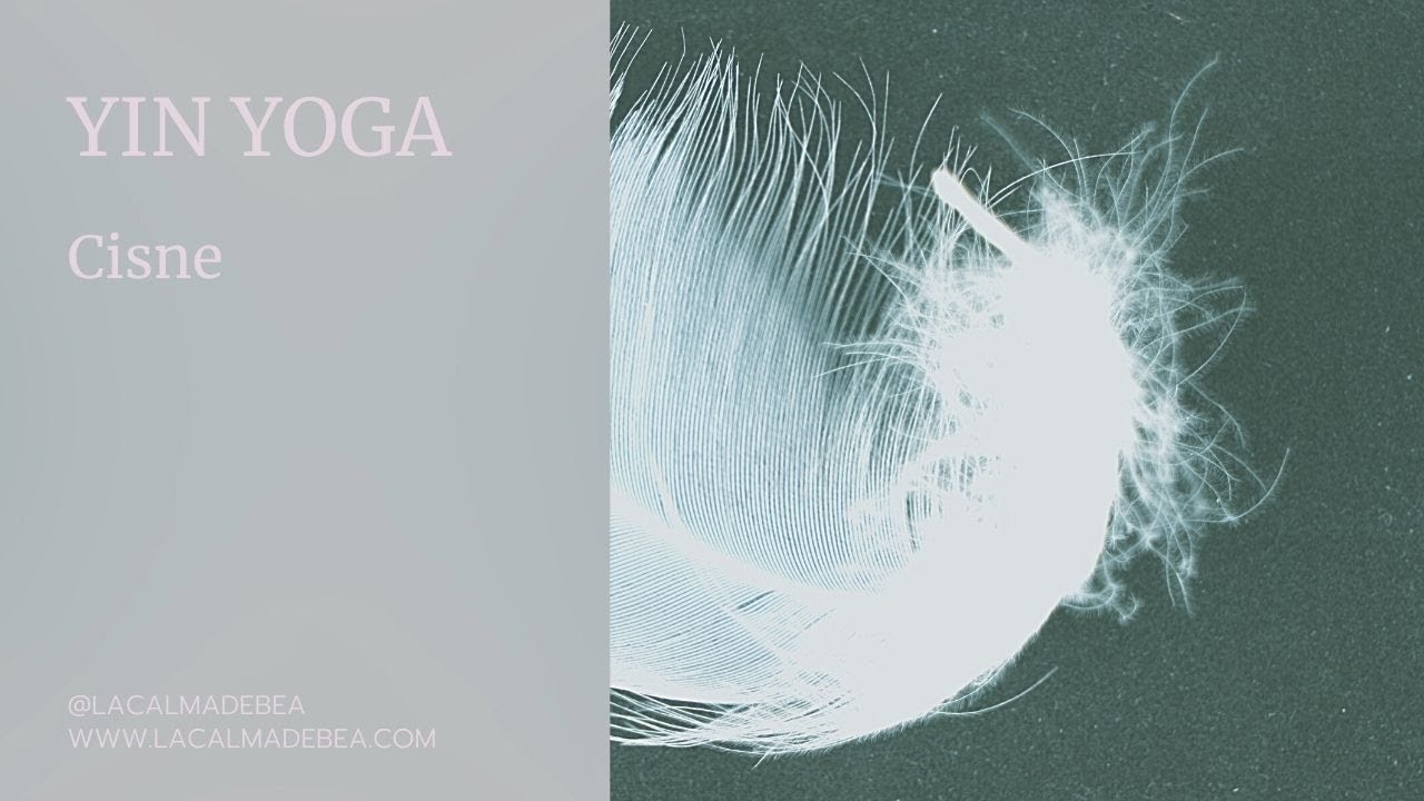 Yin yoga cisne