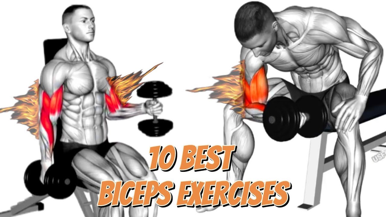 Top 10 Best Seated Dumbbell Biceps Exercises for Bigger Arms Fast | Biceps Workout