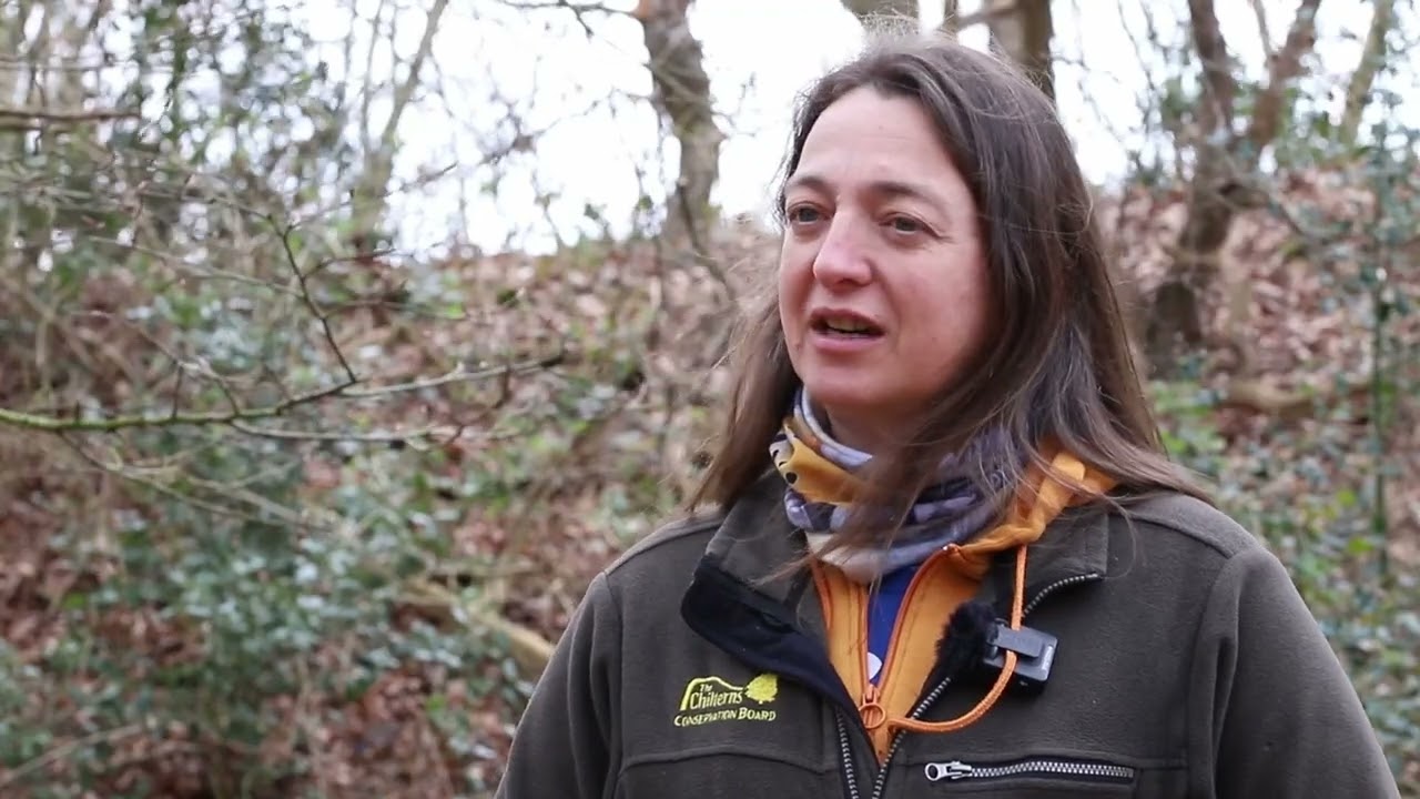 Hillforts of the Chilterns: Medmenham Camp