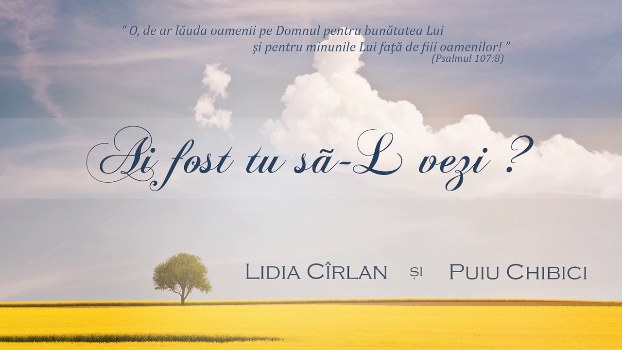 Lidia Cîrlan şi Puiu Chibici - Ai fost tu sa-L vezi ?