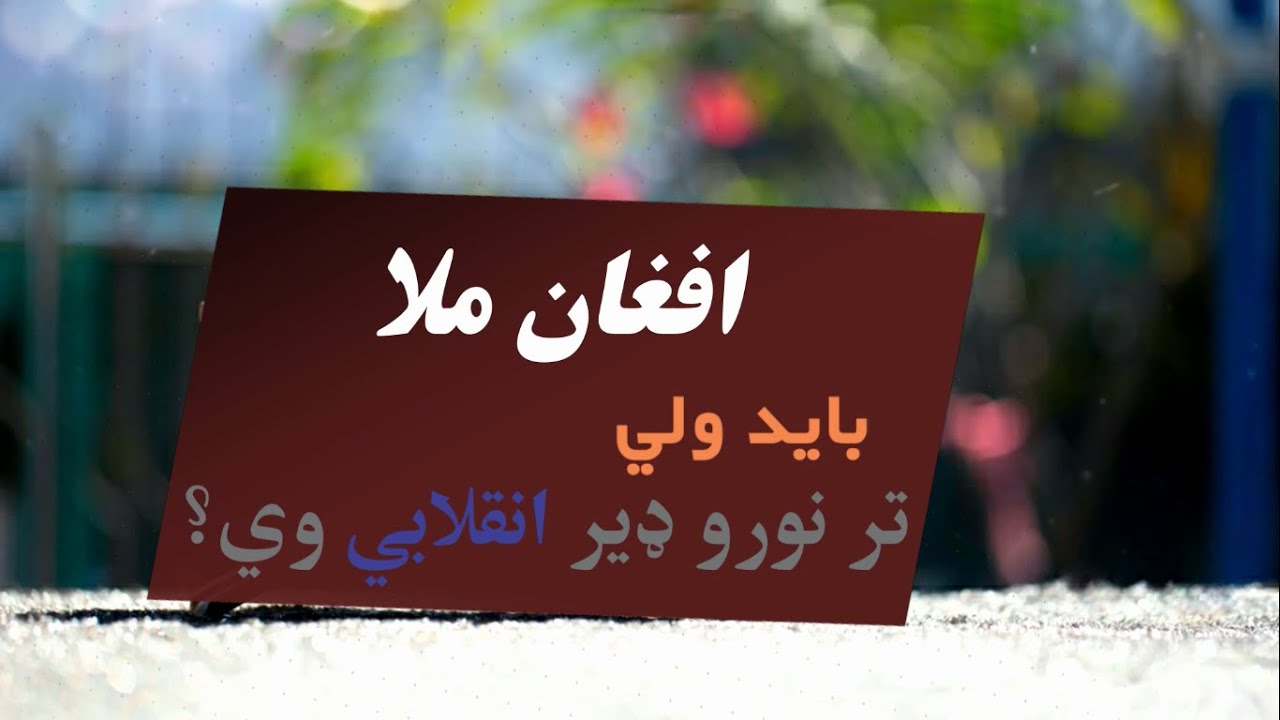افغان ملا باید ولي تر نورو ډیر انقلابي وي؟ (۴) | مولوي عبدالهادي مجاهد