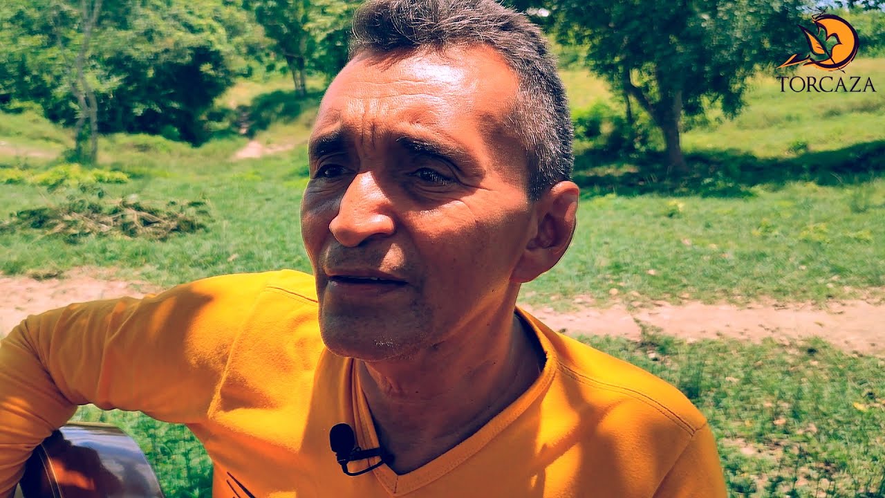 Hugo Vergara  - El cantante del pueblo