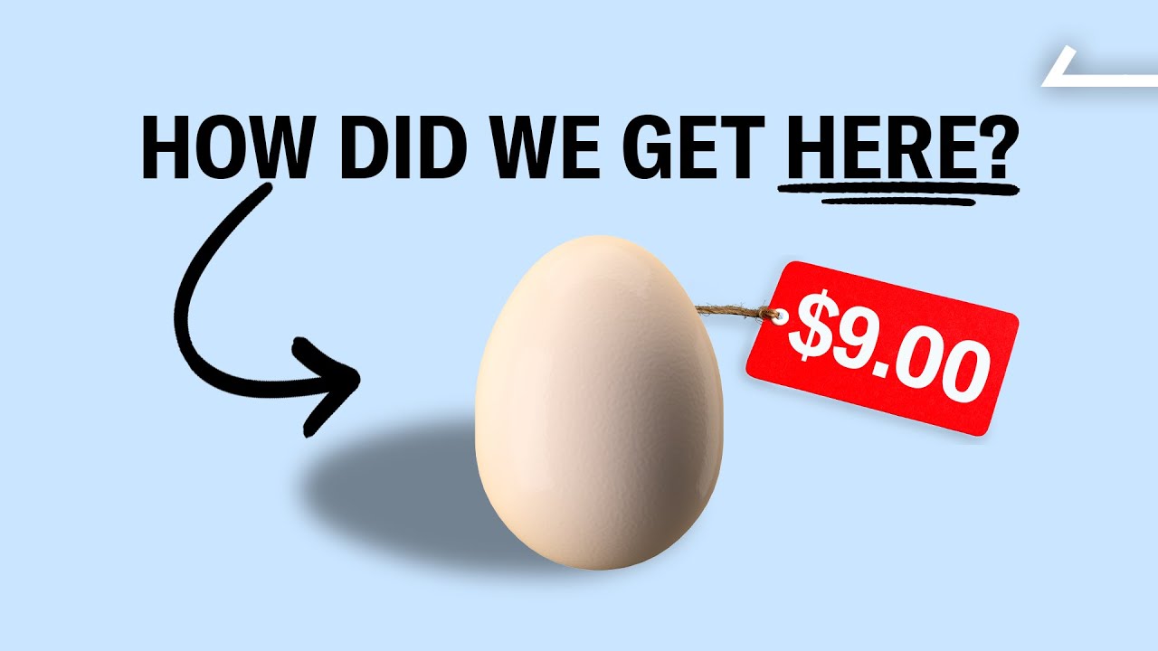 We Discovered the REAL Reason Egg Prices Skyrocketed