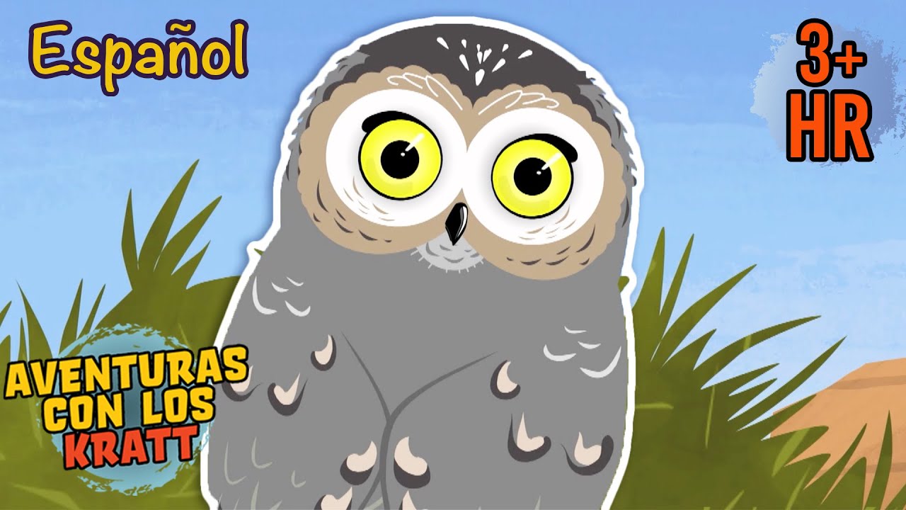 El búho más pequeño del mundo [episodios completos] Aventuras con los Kratt