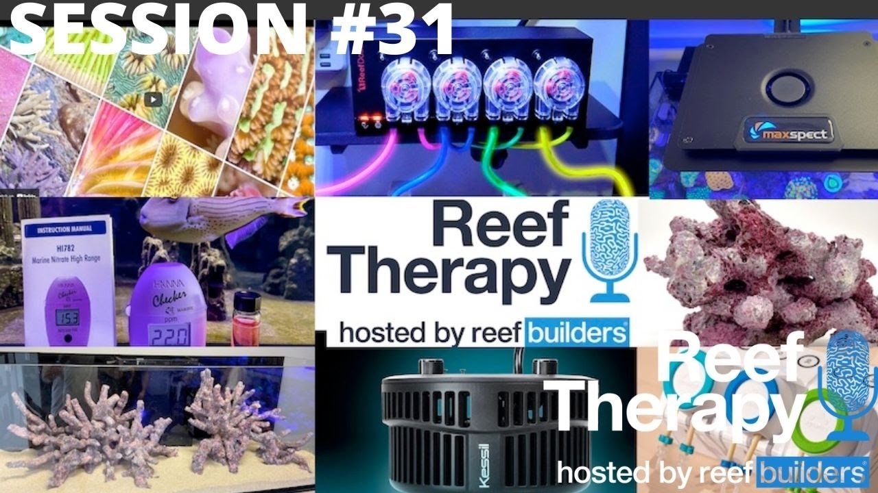 Best New Aquarium Products of 2021 | #31