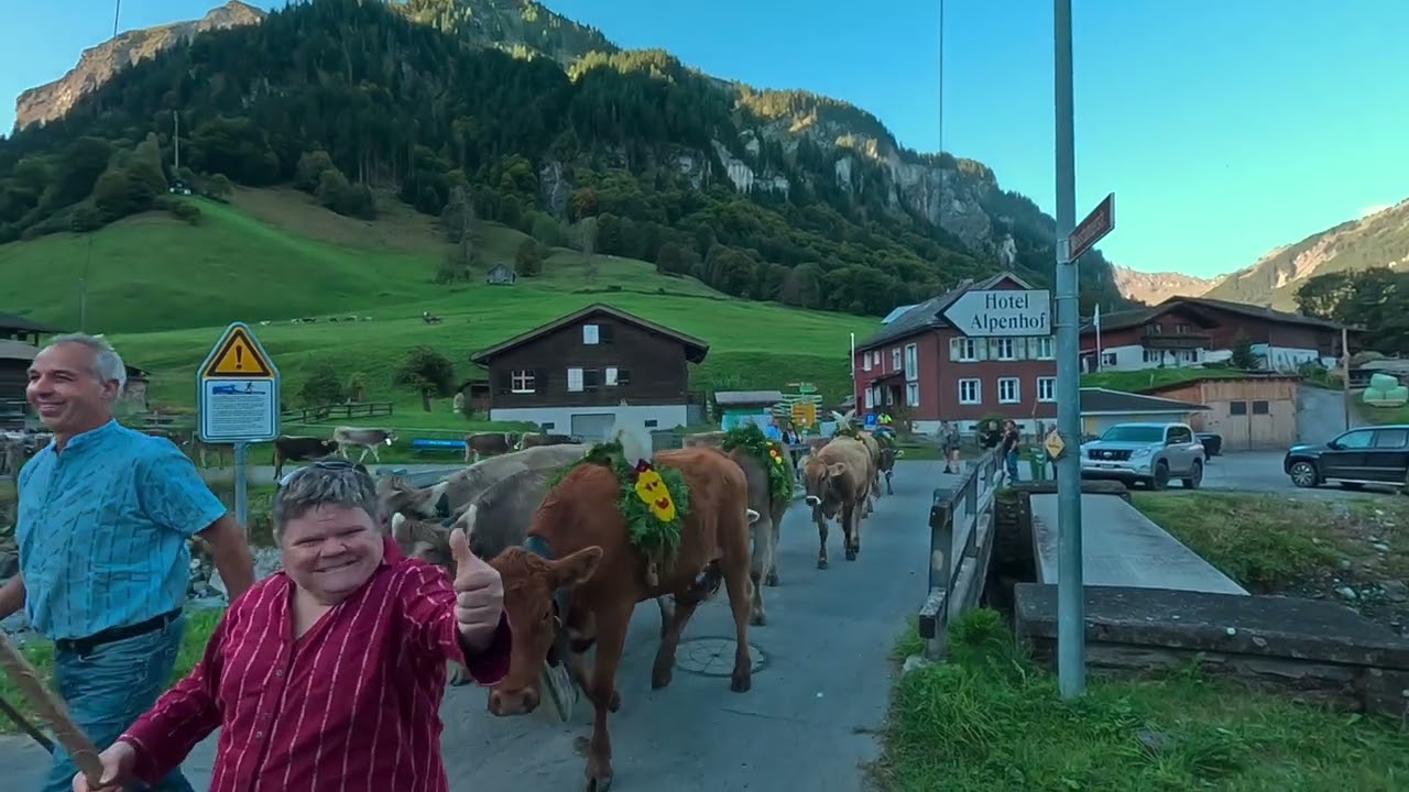 Alp Lavtina 2025 Alpabfahrt