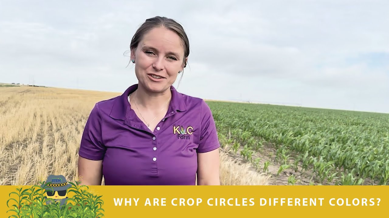 Agent X | Why are crop circles different colors?