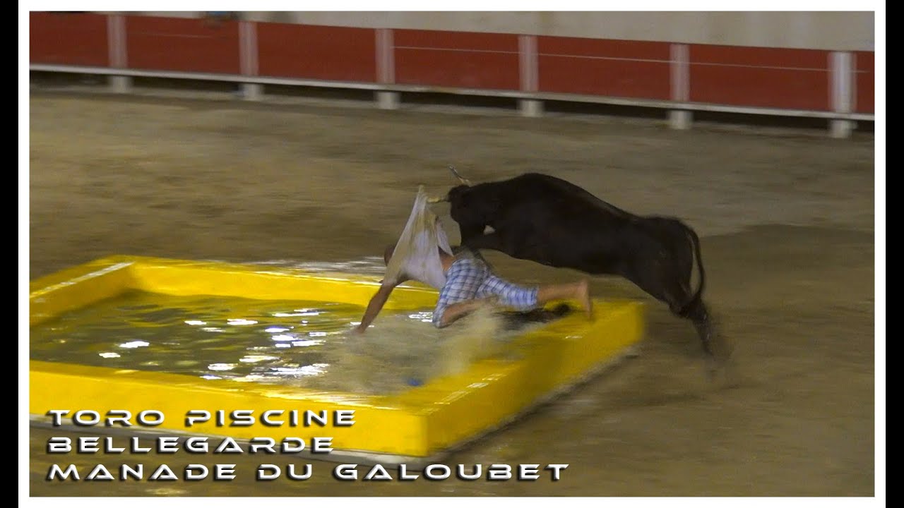 BELLEGARDE TORO PISCINE  06-08-2016 💦