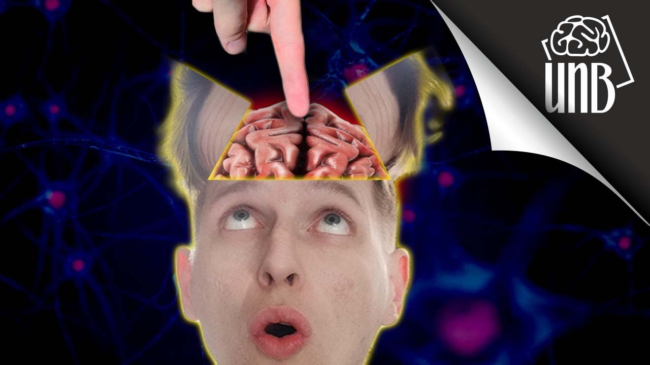 Jak plastyczny jest Twój mózg?