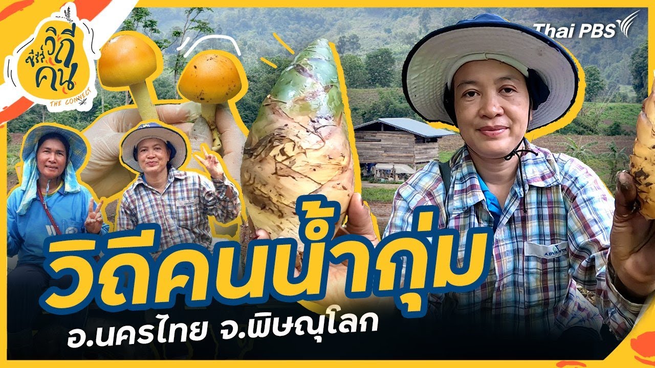 วิถีคนน้ำกุ่ม อ.นครไทย จ.พิษณุโลก | ซีรีส์วิถีคน