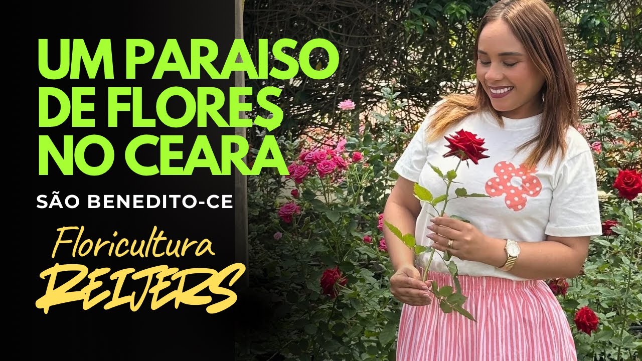 Se você ainda não conhece essa floricultura em São Benedito-CE, prepare-se para se surpreender