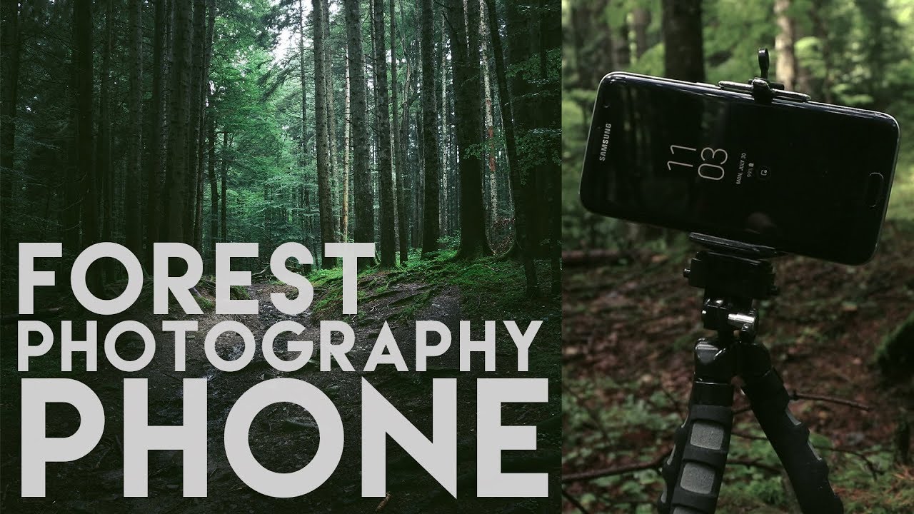 Forest Photography with a PHONE Challenge - Landscape Photography Tips
