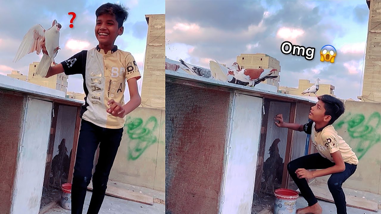 Bahut Mushkil Se Pakda Isko 🤪