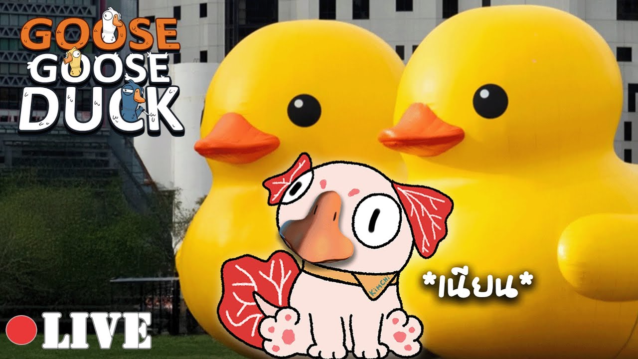 เนียนเป็ด | LIVE - Goose Goose Duck #5