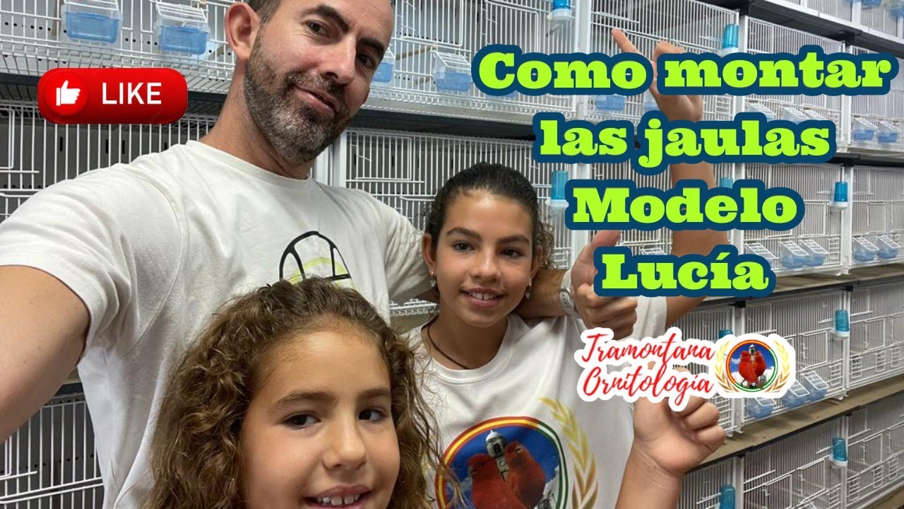 Como montar las jaulas nuevas paso a paso !!