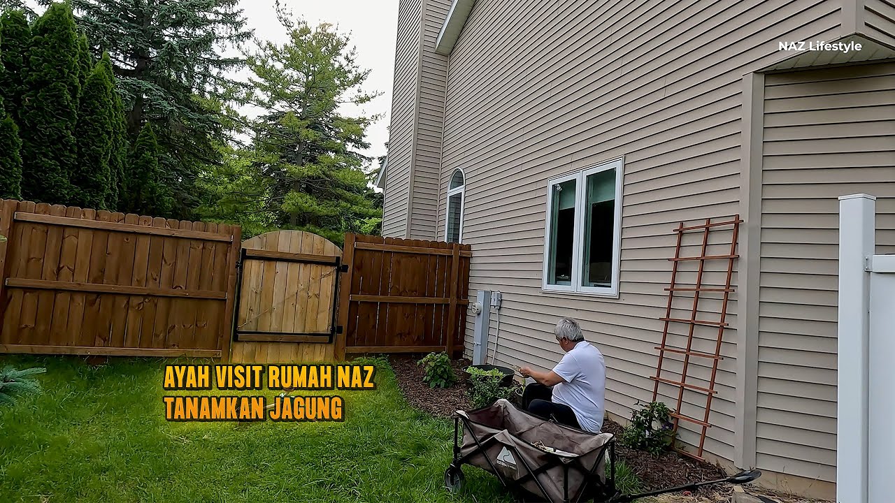 Ayah Datang Rumah Visit Naz Tolong Tanamkan Jagung di Garden |  Appartment di Chicago Tak ada Tanah