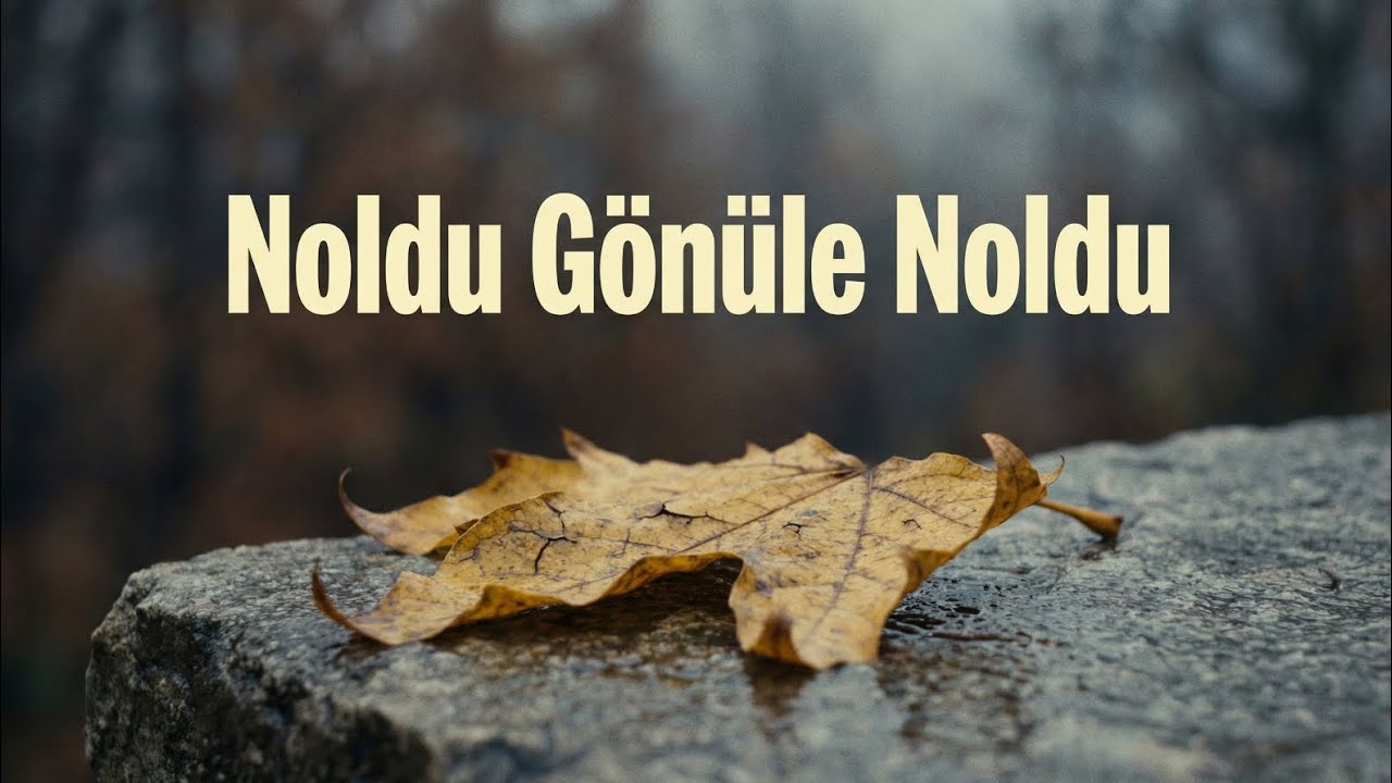 Noldu Gönüle Noldu - Uzun Hava ve Bozlak (Geleneksel Saz Performansı) | HeritageBeatsofficial 