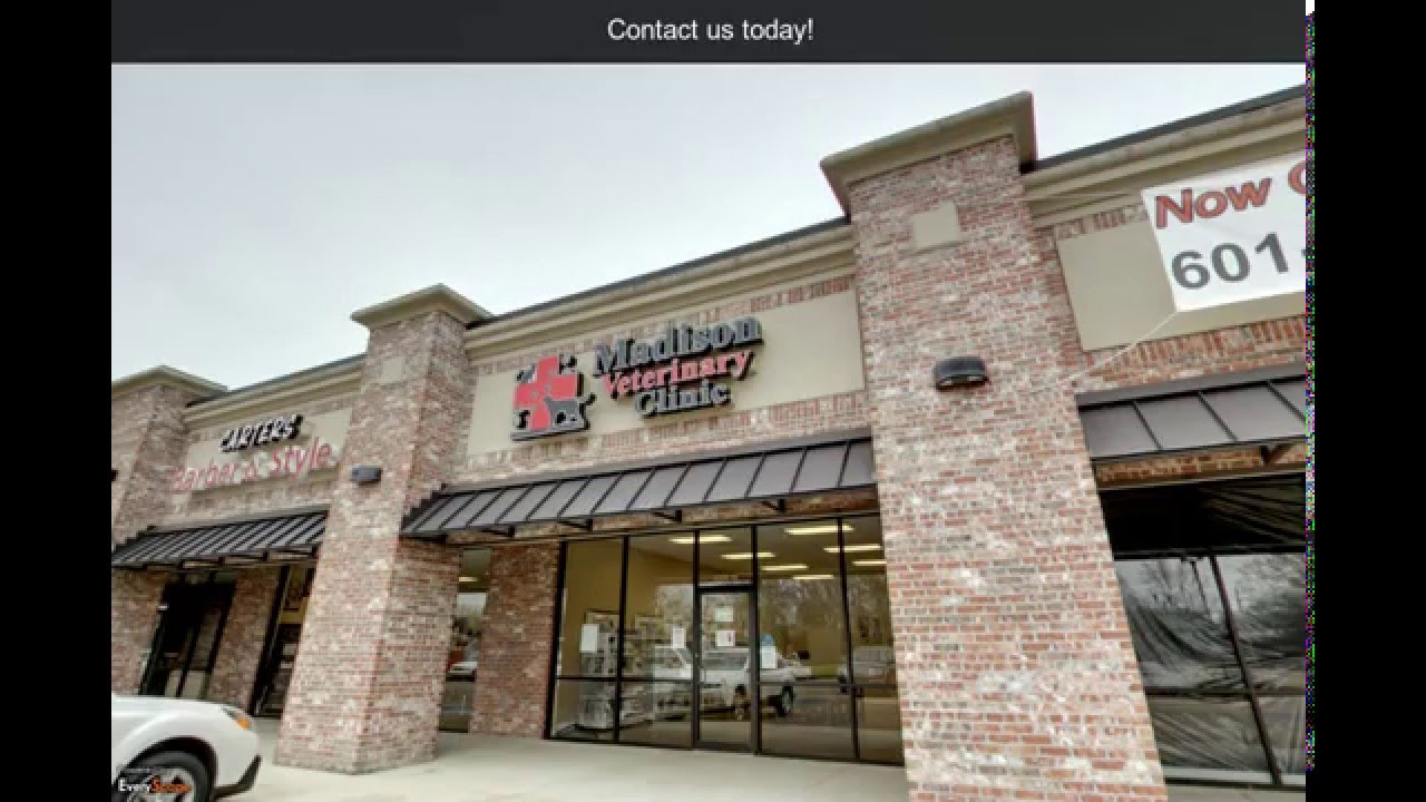 Madison Veterinary Clinic | Madison, MS | Veterinary Care