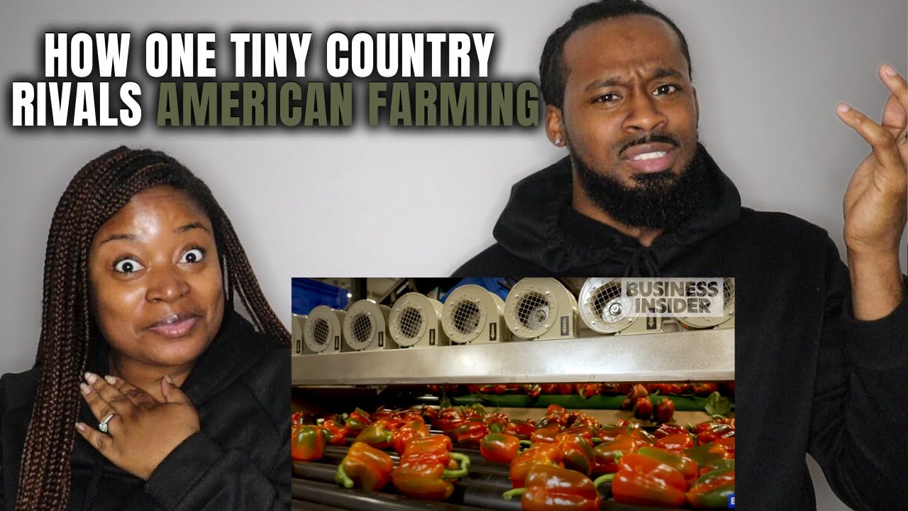 🇳🇱 American Couple Reacts 
