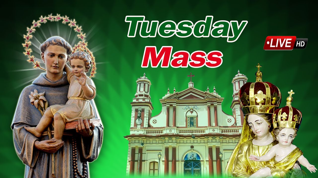 🔴LIVE ✠ 10-02-2026 ✠ செவ்வாய் காலை 06:00 மணி திருப்பலி ✠ புனித விண்ணேற்பு அன்னை ஆலயம் நெல்லித்தோப்பு