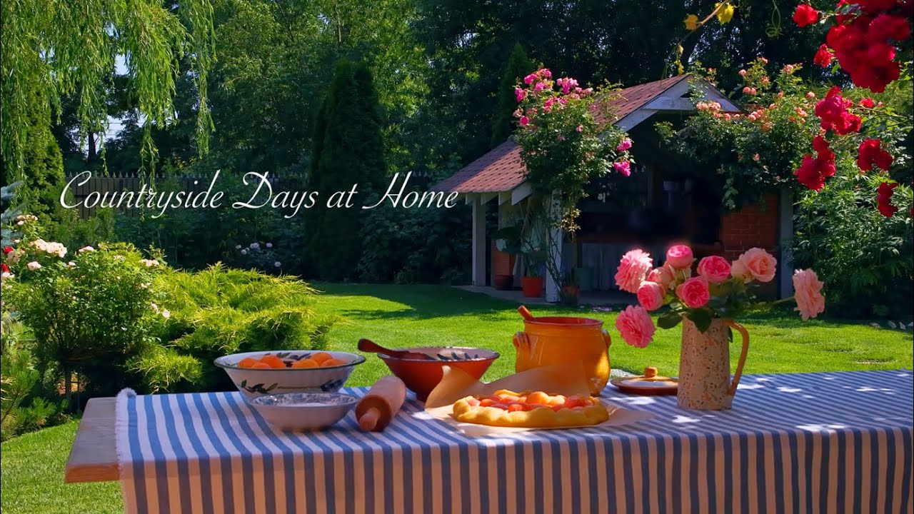Life in the Countyside | Building a Chicken Coop and Apricot Galette on the Wood Stove