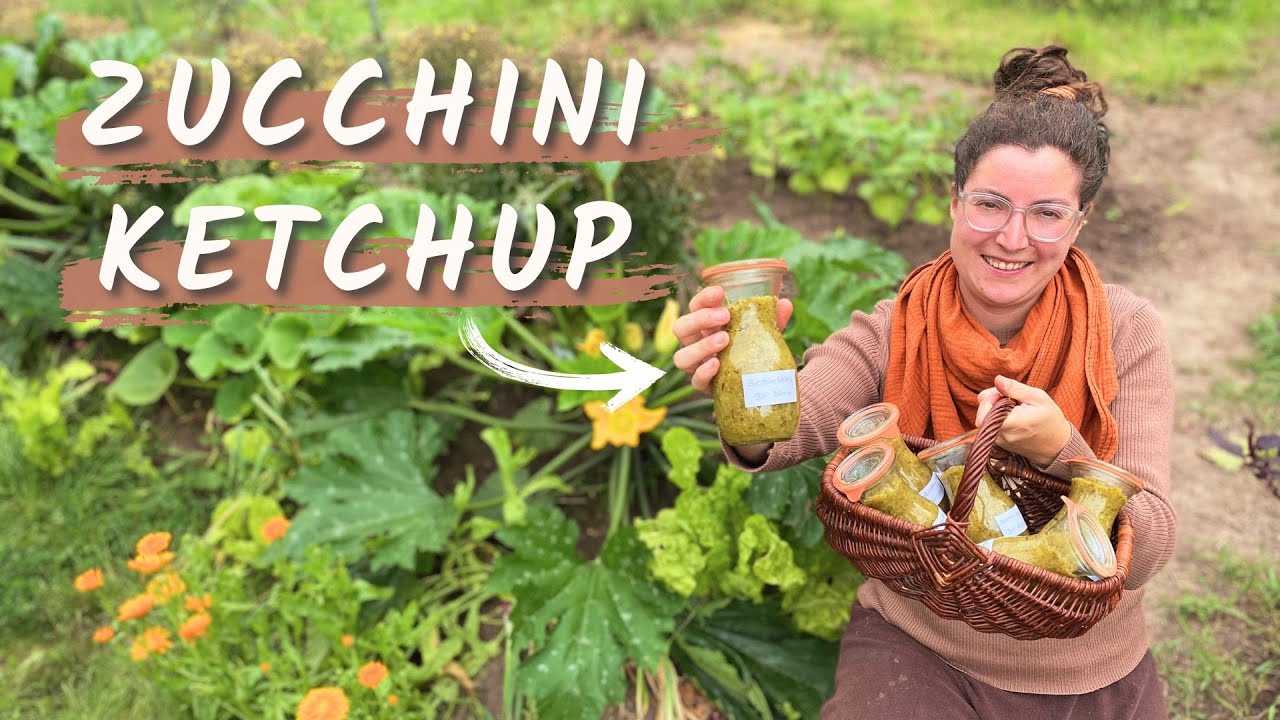 Zucchini-Fülle? Mach Zucchini Ketchup!🍴So geht’s Schritt für Schritt ☺️