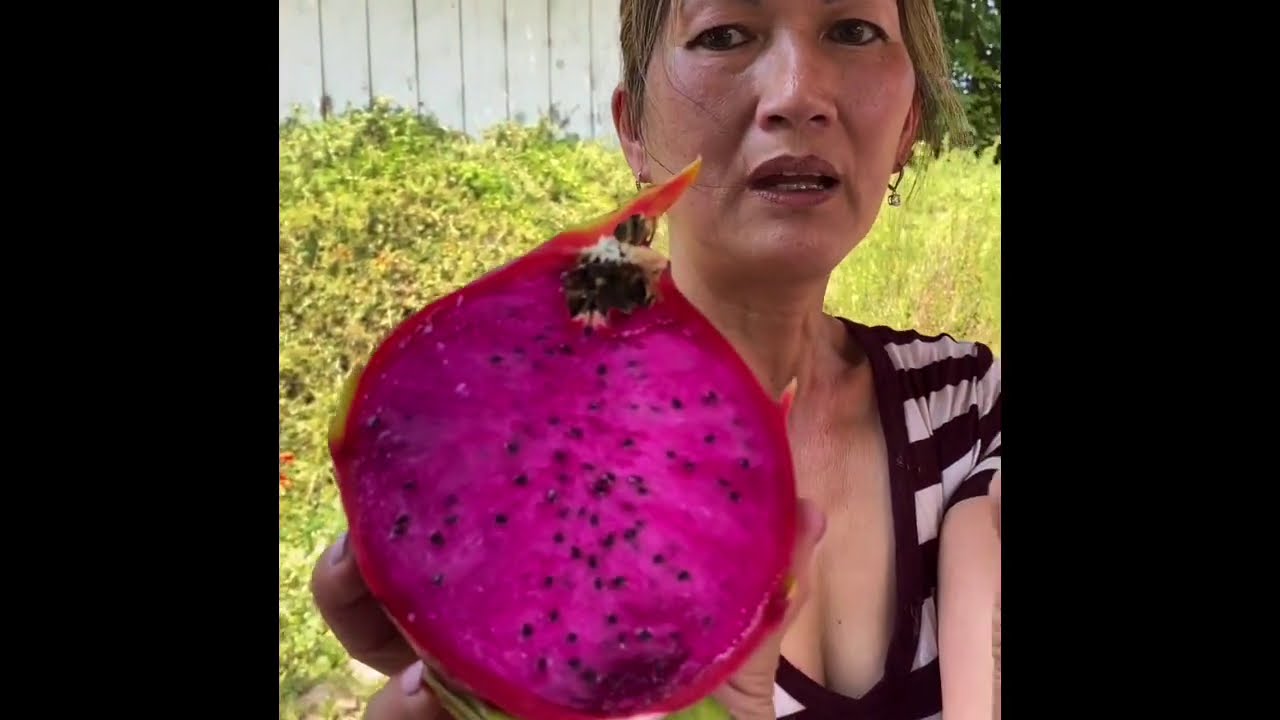 Rixford Taste Test 2020