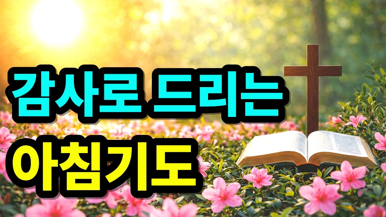 감사로 주님을 만나는 아침기도 | 하루를 시작하는 기도 | 아침을 여는 기도 | 아침 감사기도