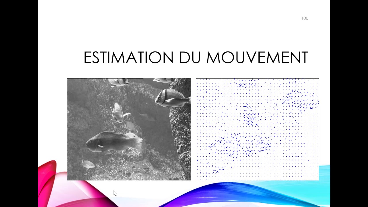 Estimation du mouvement: calcul du flot optique
