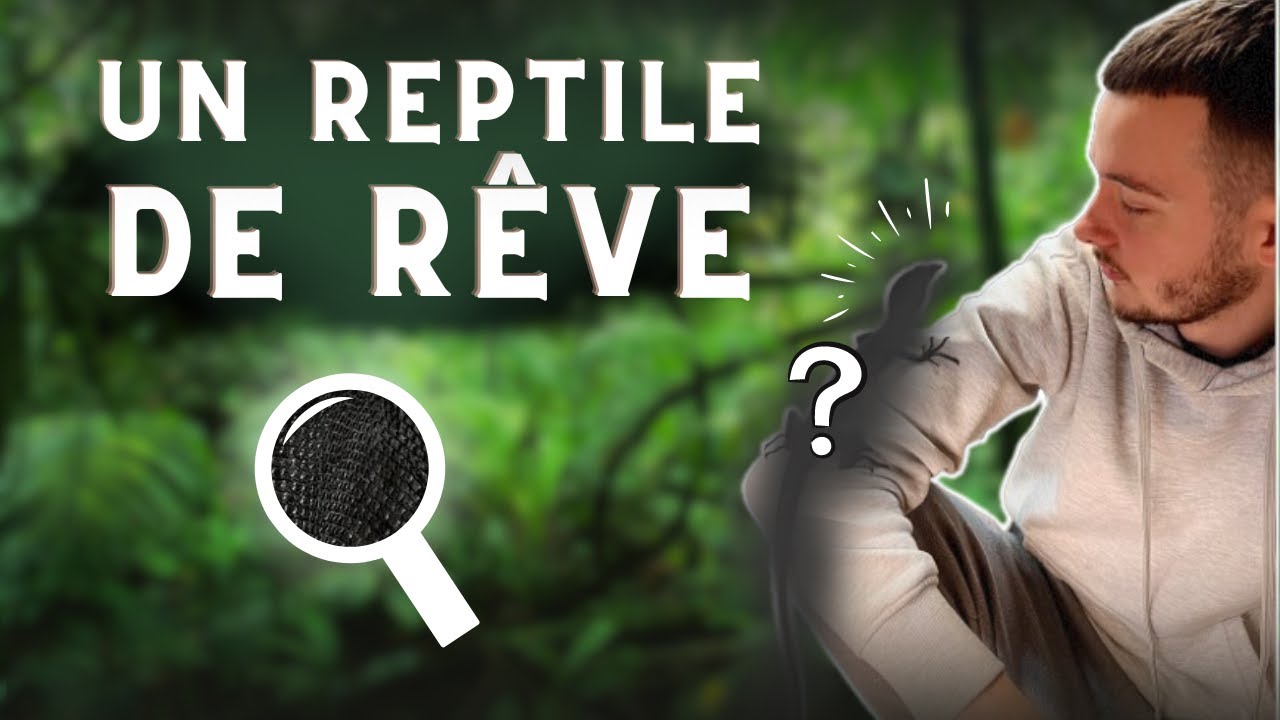 JE VOUS PRÉSENTE MA NOUVELLE DINGUERIE EN REPTILE !